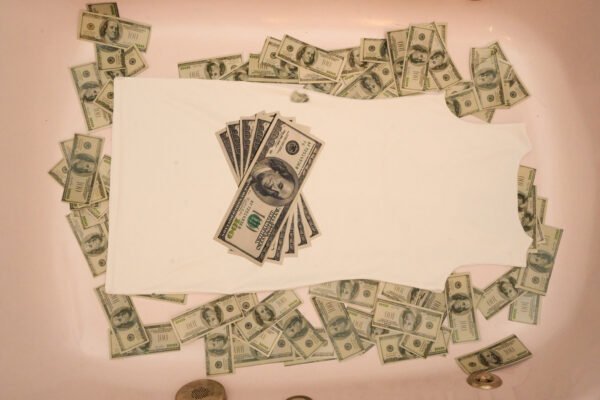 MONEY CHASER DRESS - Imagen 4