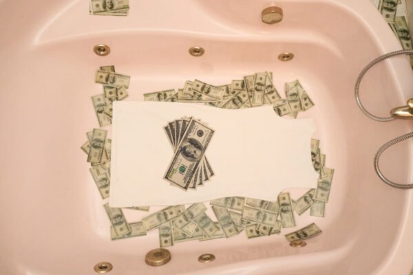 MONEY CHASER DRESS - Imagen 2