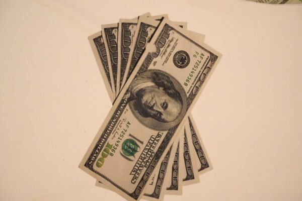 MONEY CHASER DRESS - Imagen 6